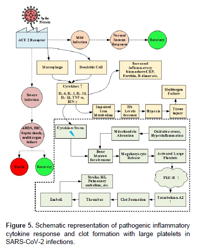 Figure 5