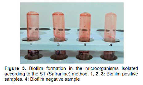Figure 5