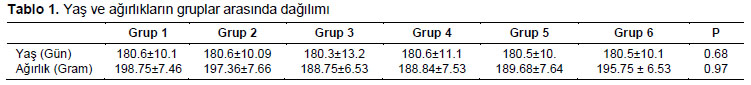 Table 1