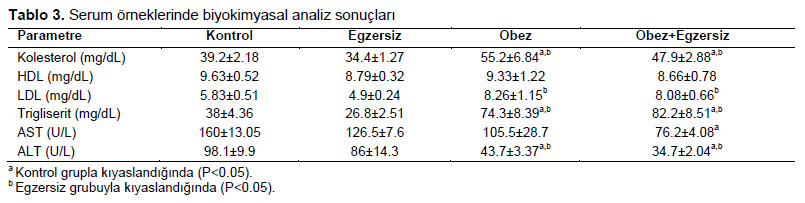Table 3