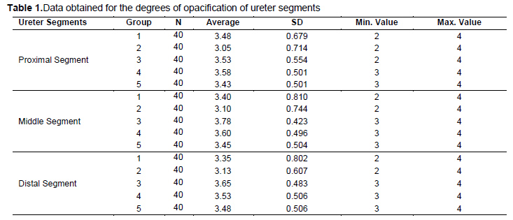 Table 1