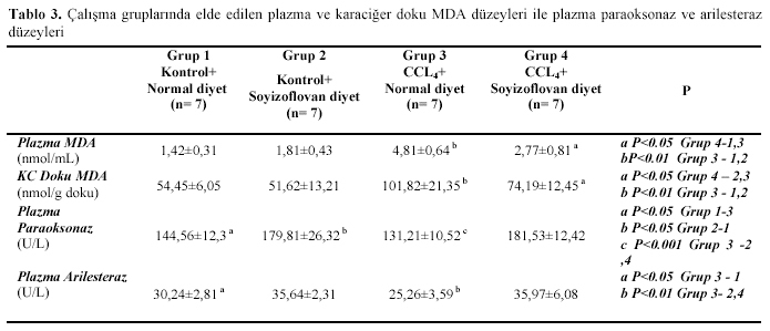 Table 3