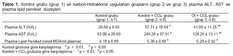 Table 1
